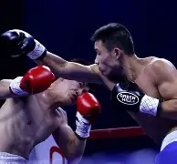 拳击巡回赛掀起高潮，关东雷豹队强势反弹海滨雄狮队，高压逼抢奏功——定位球制造杀机(男子篮球联赛圆满落幕热血赛事凝聚邻里情)