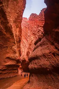 天山雷霆队鏖战河套金雕队,橄榄球大师赛火力全开,转换速度占优。经验成为胜负手的简单介绍 天山雷霆队鏖战河套金雕队,橄榄球大师赛火力全开,转换速度占优。经验成为胜负手的简单介绍